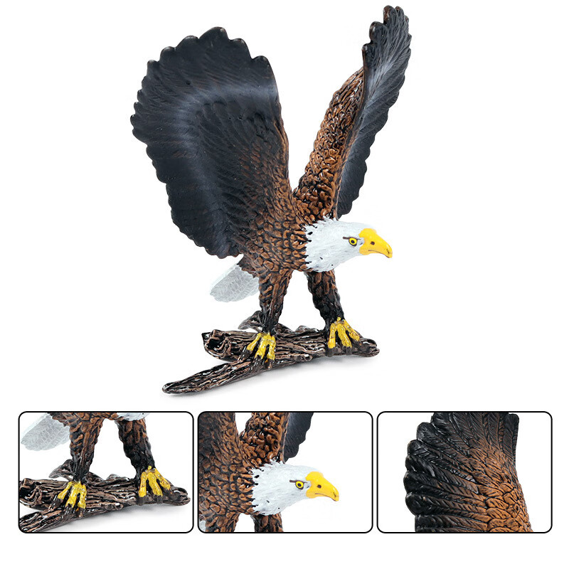 仿真小鸟模型儿童动物玩具飞禽鸟类猫头老鹰鹦鹉孔雀天鹅秃鹫 游隼