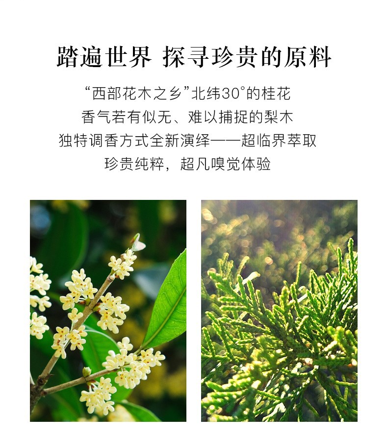 冰希黎（Boitown）香水女士香水礼盒沙龙香水清新淡香持久生日圣诞节礼物送女友 梨木桂花-30ML