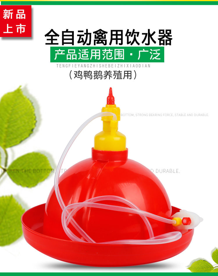 养殖养鸡设备用品普拉松自动饮水器鸡鸭鹅用喂水器鸡场喂鸡饮水壶2018