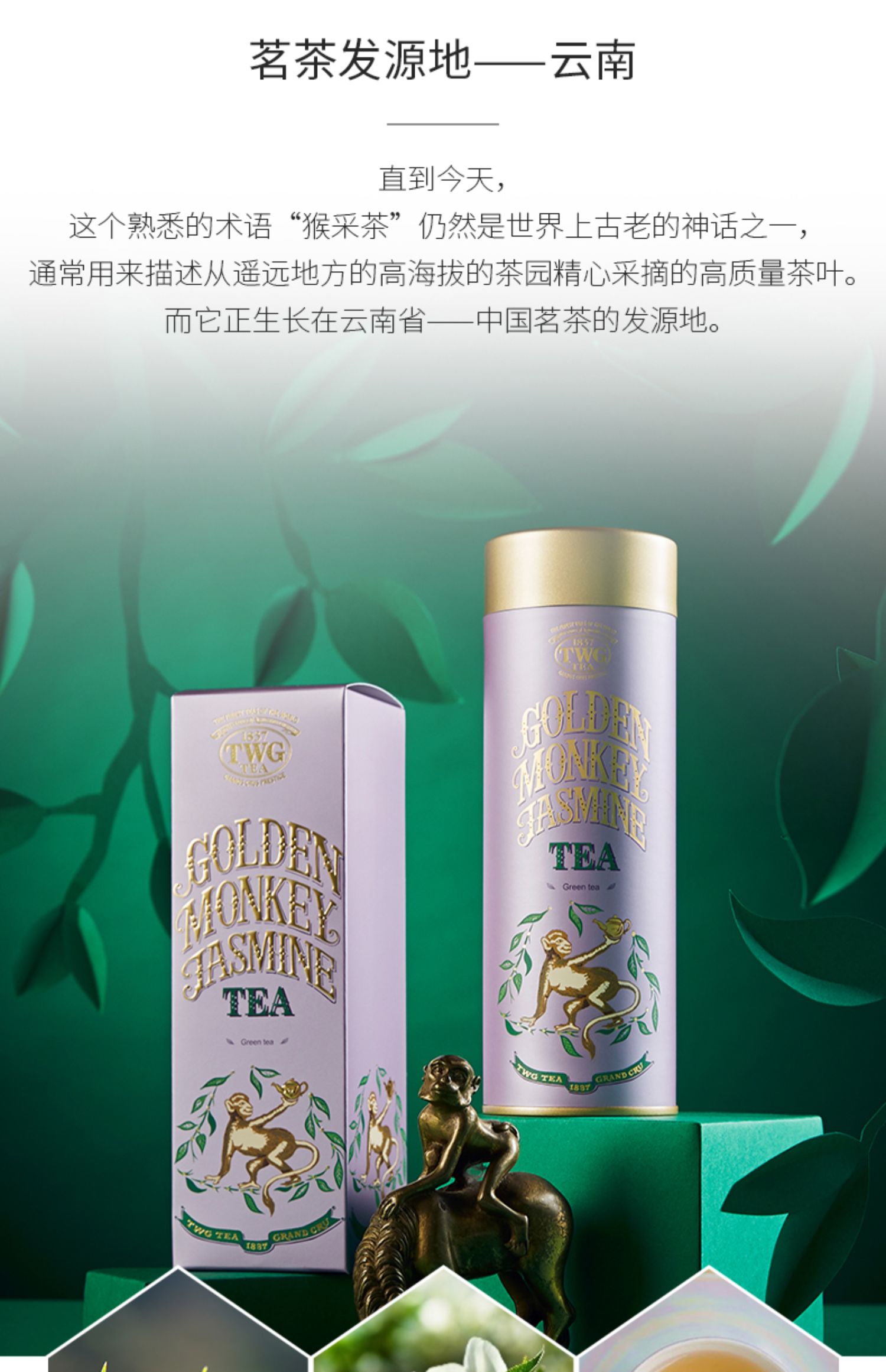 twg tea 金猴茉莉花茶 新加坡調味綠茶禮物送女生【圖片 價格 品牌