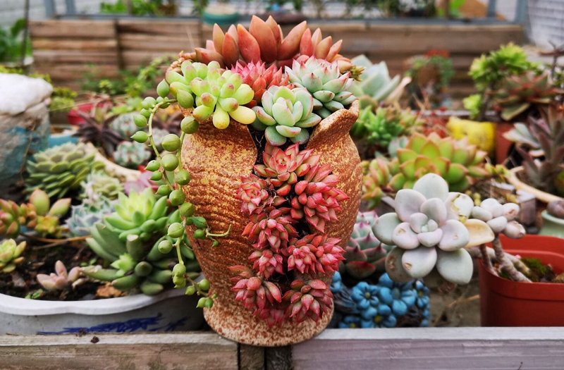 复古创意个性多肉悬崖老桩高花盆缺口造型控型盆陶瓷绿植老庄花器