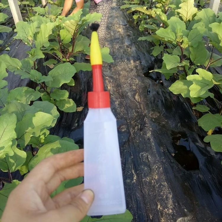 西红柿番茄点花器点花笔授粉器茄子西葫芦点花笔替代人工授粉 董氏好