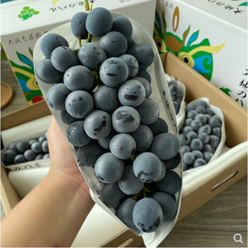 顺丰空运长野紫提紫葡萄一串700g云南特产葡萄新鲜当季水果精选大果