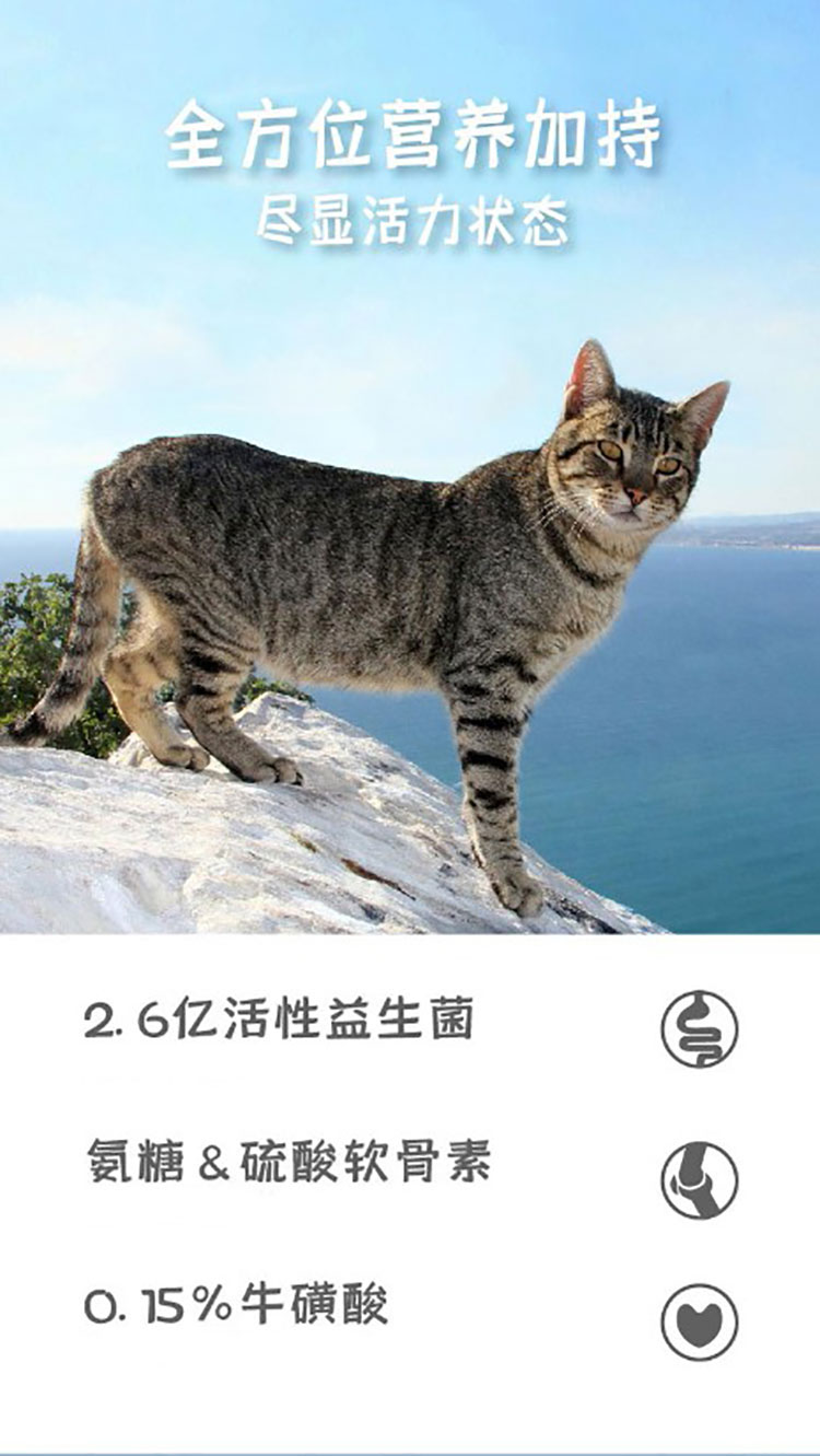 hagennutrience哈根纽翠斯天然无谷猫粮
