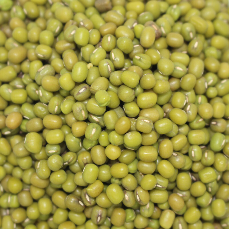 绿豆农家自产明绿豆5斤散称能发芽新鲜大粒绿豆生绿豆芽专用