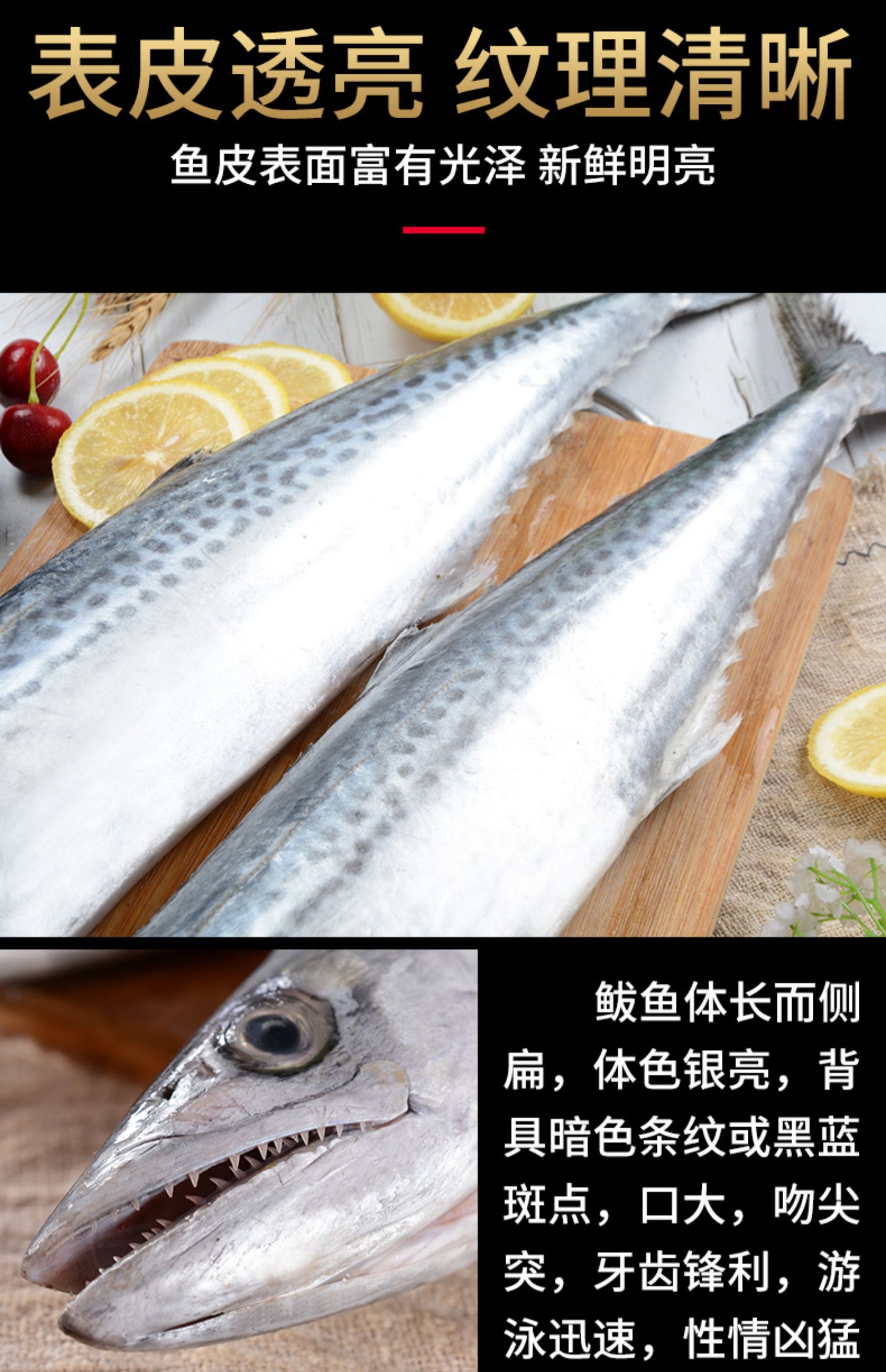 春节不打烊1斤10斤可选海皇湾鲅鱼蓝点马鲛鱼青岛大鲅鱼生鲜鱼类鲅鱼