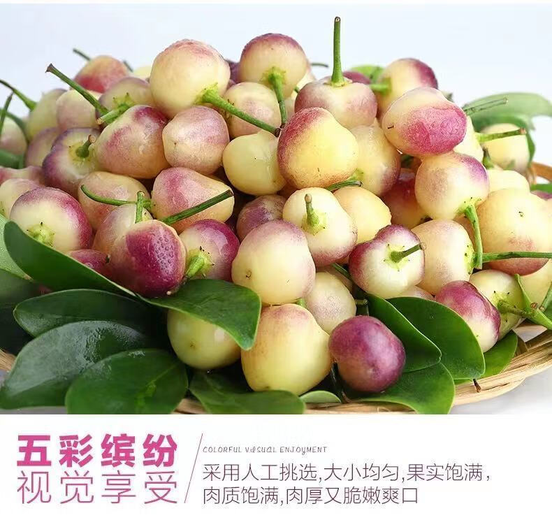 灯笼椒七彩辣椒110斤广西新鲜五彩椒特辣泡椒广西特产蔬菜土辣椒1斤装