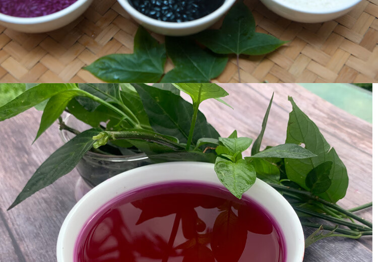 广西特产五色糯米饭花米饭植物染料红紫蓝草五彩米橙紫黄黑【图片