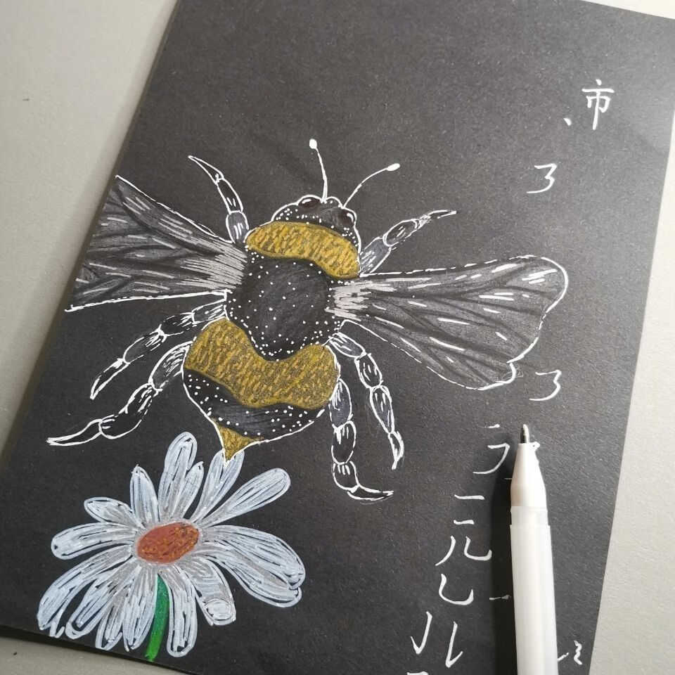 猫印堂高光笔 黑卡纸白色的笔绘画高光笔美术勾线笔金色银色白色书法