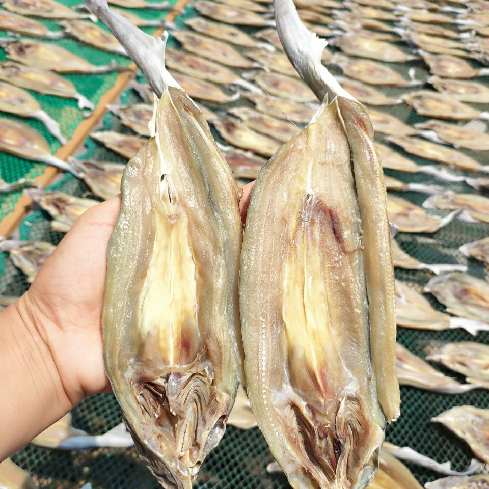 北海渔家自晒鲨鱼干咸鱼干海味干货海鲜水产特产礼礼品批发1000g大