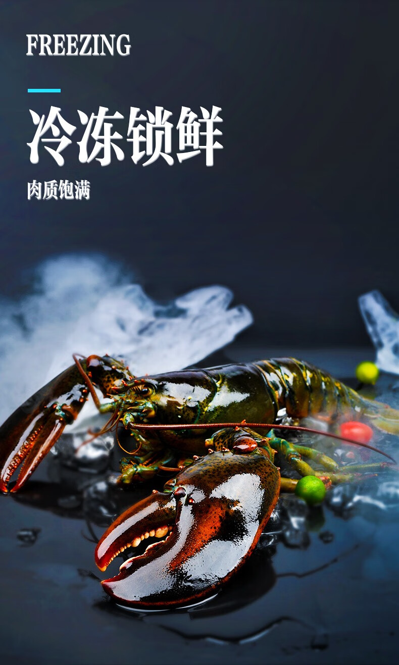 嘉麟精大龙虾 波士顿龙虾 鲜活波龙 加拿大龙虾3