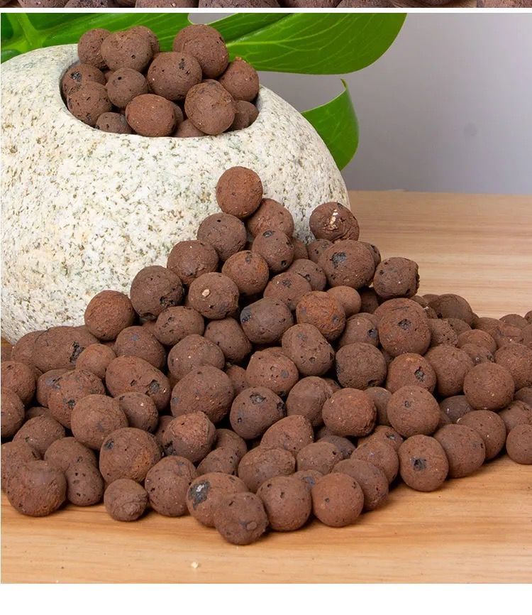 陶粒养花铺面种花空心陶粒土批发水培园艺陶粒球兰花多肉垫底回填麦桑