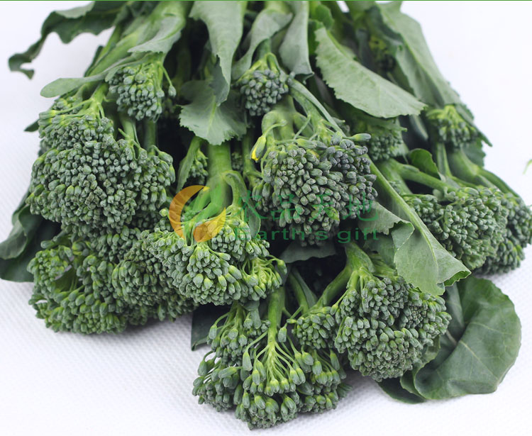 新鲜兰花苔500g迷你西兰花甜杆西兰苔芥兰苔蔬菜青菜口感甜脆500g