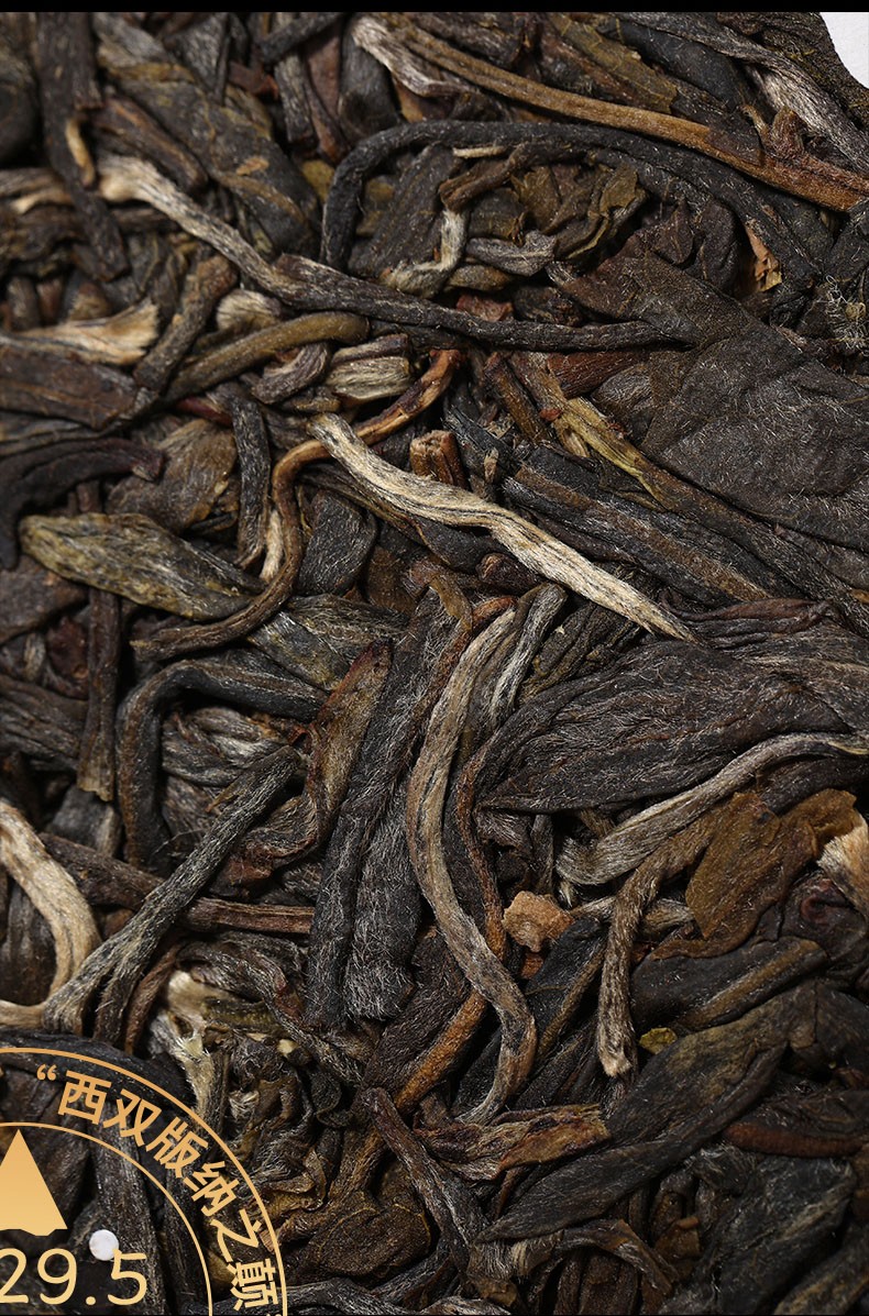 书剑2021年滑竹梁子纯料古树普洱茶春茶生茶论剑系列产品357克片单片