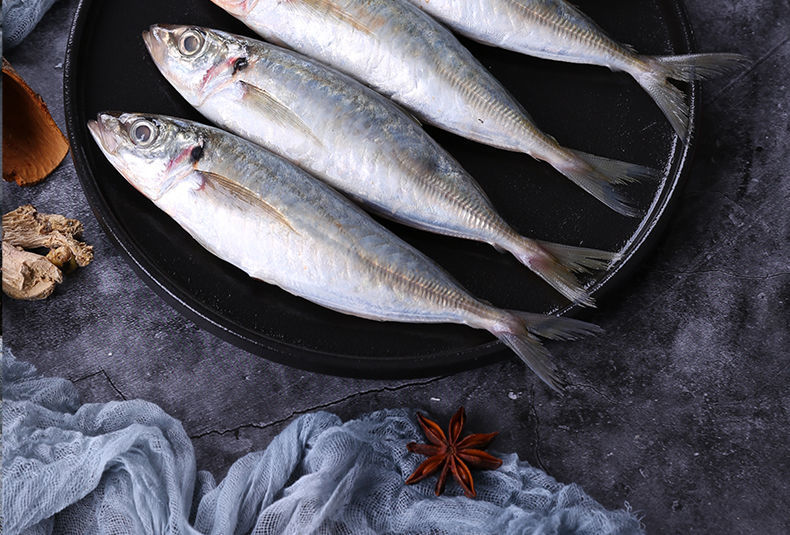 顺丰速运新鲜巴浪鱼海鲜水产冷冻海鱼福建特产海捕冰鲜鳀鱼提鱼一斤巴