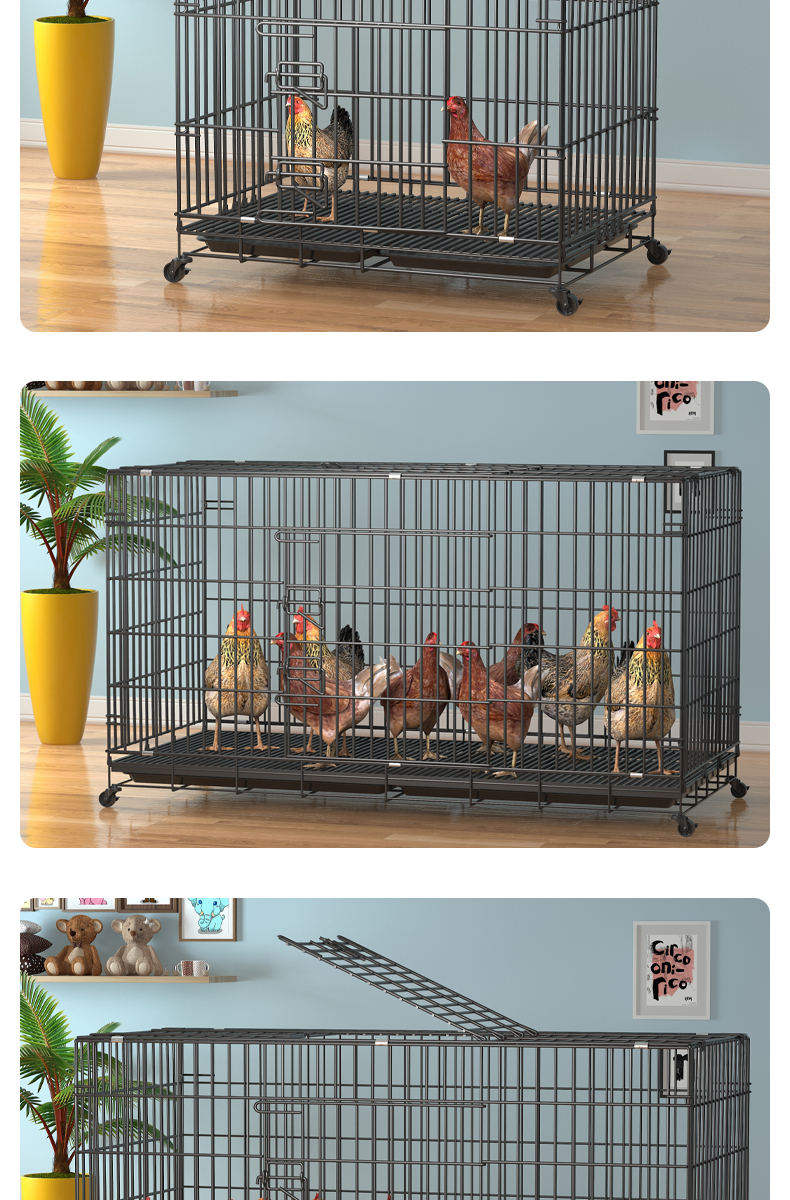 鸡圈鸡笼鸡笼子家用下蛋养鸡笼自动清粪滚蛋大号特大号鸡窝鸡舍折叠