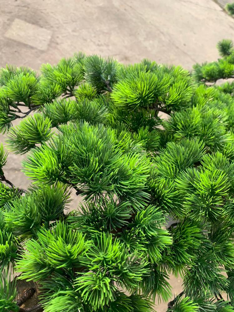 仿真松树迎客松树大型罗汉松美人松盆景摆件酒店展厅装饰造景假树 1.