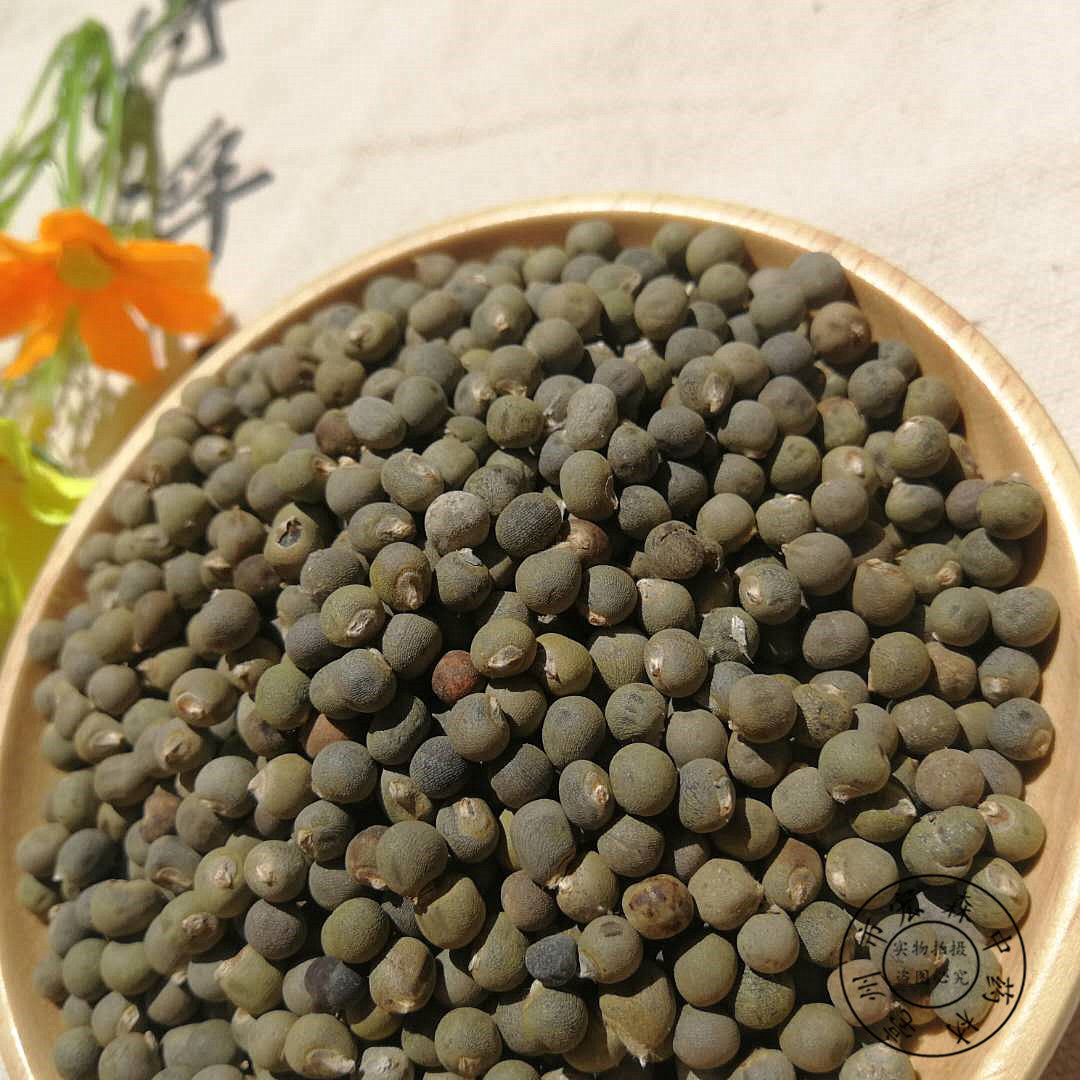伟博中药材秋葵种子黄秋葵种子秋葵籽新货黄蜀秋葵子500克1500克