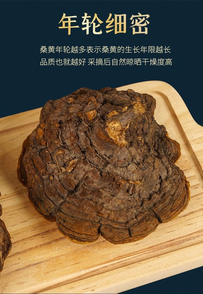 伟博西藏桑黄正宗桑树桑黄25年桑黄多少钱一斤100500g灵芝桑黄茶西藏