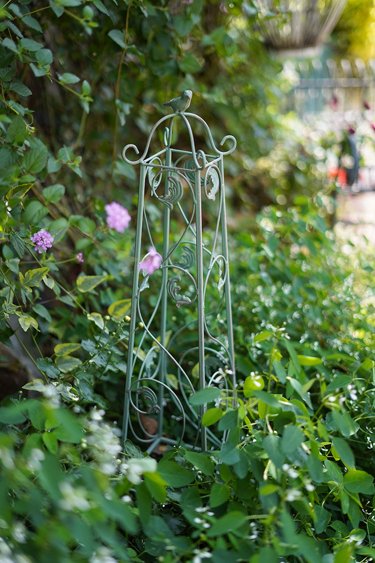 欧式铁艺复古方形做旧复古花架落地式植物爬藤架创意铁线莲支架子 做