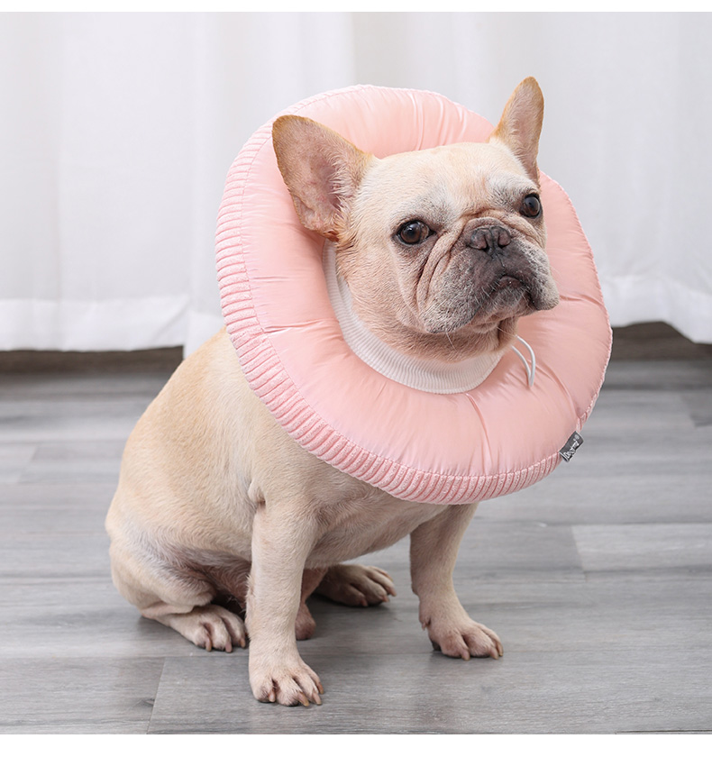 跃越(yueyue)狗防舔 伊丽莎白圈软大型防舔头套狗项圈宠物防咬圈猫咪