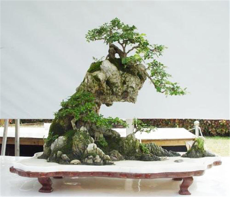 大理石盆景盆汉白玉大理石假山盆景盆山水水旱石盆托盘椭圆形长方形云