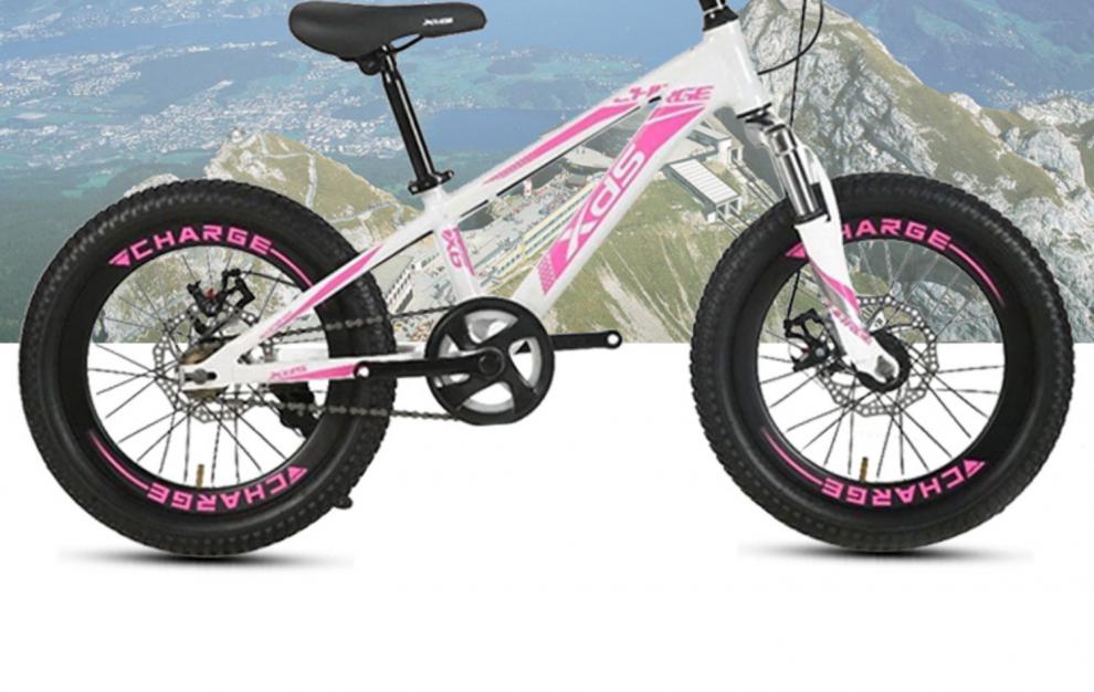 喜·德盛(xds)中大童自行车儿童自行车中大童20/22/24寸学生单车变速