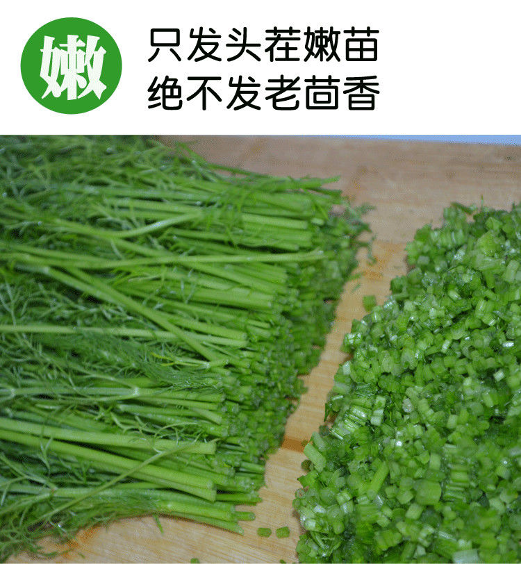 現貨順豐小茴香菜新鮮現割茴香苗菜回香菜葷香山東農家蔬菜可帶根