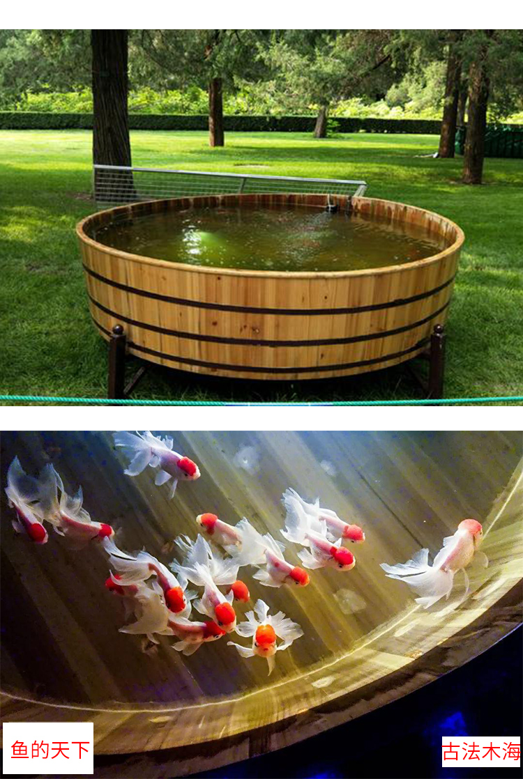 纯手工实木圆形鱼缸古法木海养鱼大型金鱼盆乌龟饲养缸老人洗澡盆
