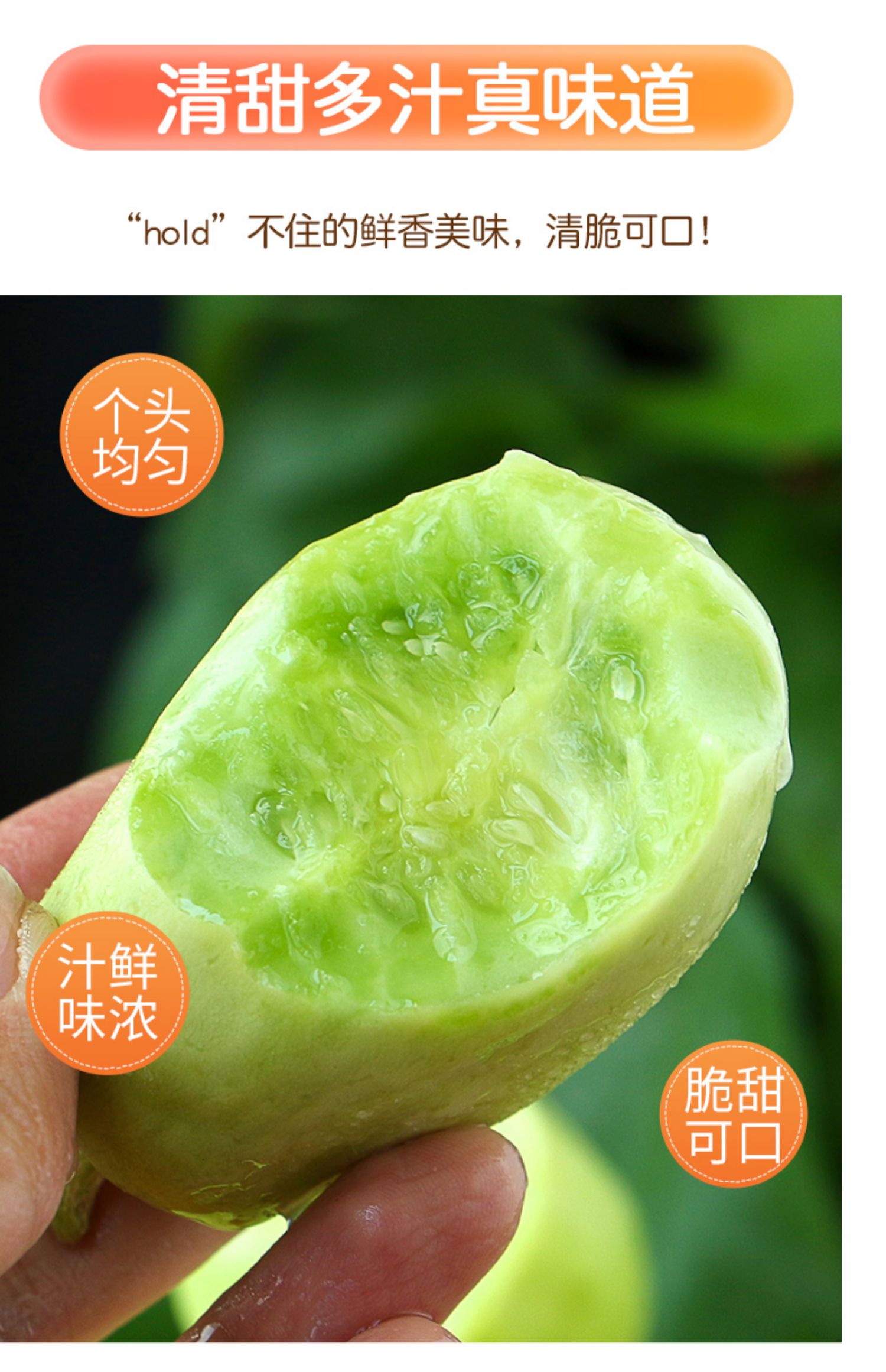 拇指黄瓜新鲜金童玉女水果小黄瓜旱白玉鲜嫩小青瓜山东蔬菜 3斤