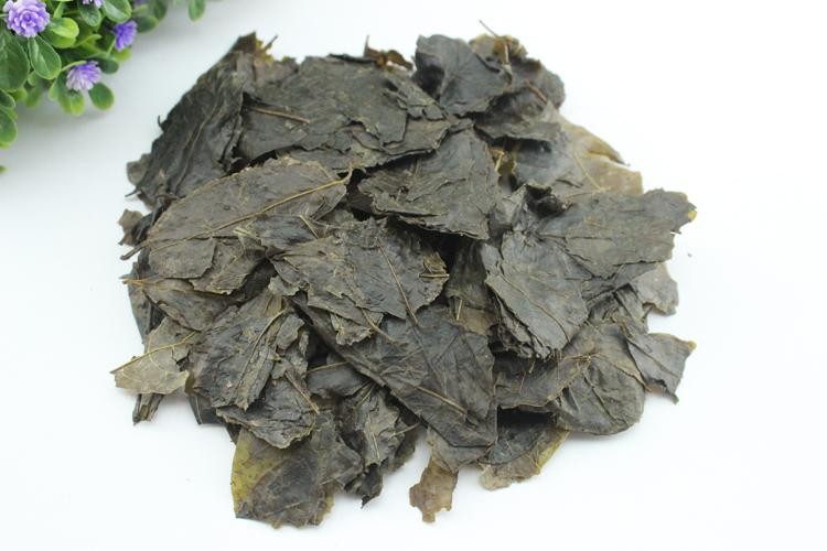 野生毛冬青嫩芽茶葉 苦丁茶養生茶 毛東青苦甘葉500g 圖片色