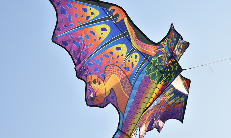 高档黑蝙蝠风筝蝙蝠风筝黑红闪电前杆后杆新款潍坊传统成人易飞好飞