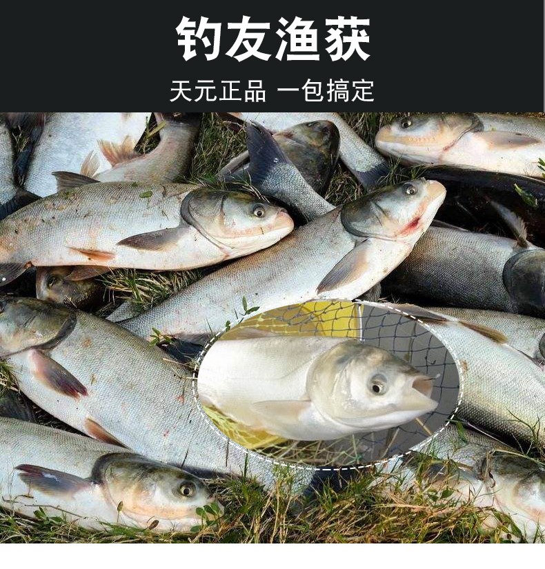 儒煜新包装现货速发邓老师金版浮钓鲢鳙450g大头鱼饵料鲢鳙鱼饵金版