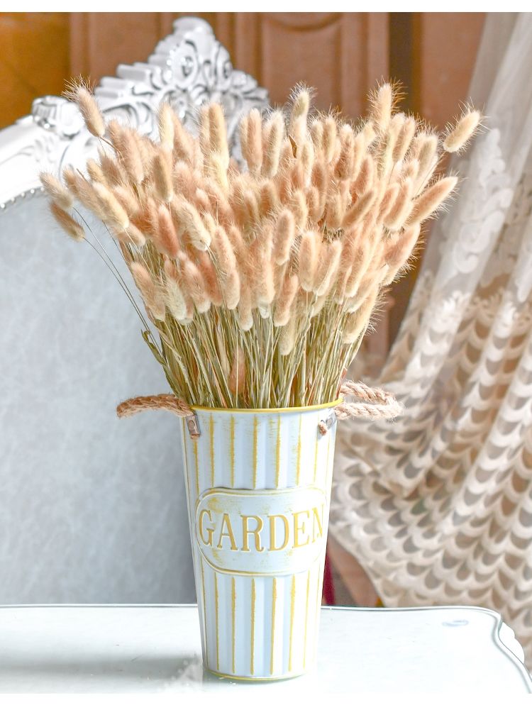 兔尾草干花花束真花餐桌摆件网红ins风干文艺新房装饰摆件插花sn0593