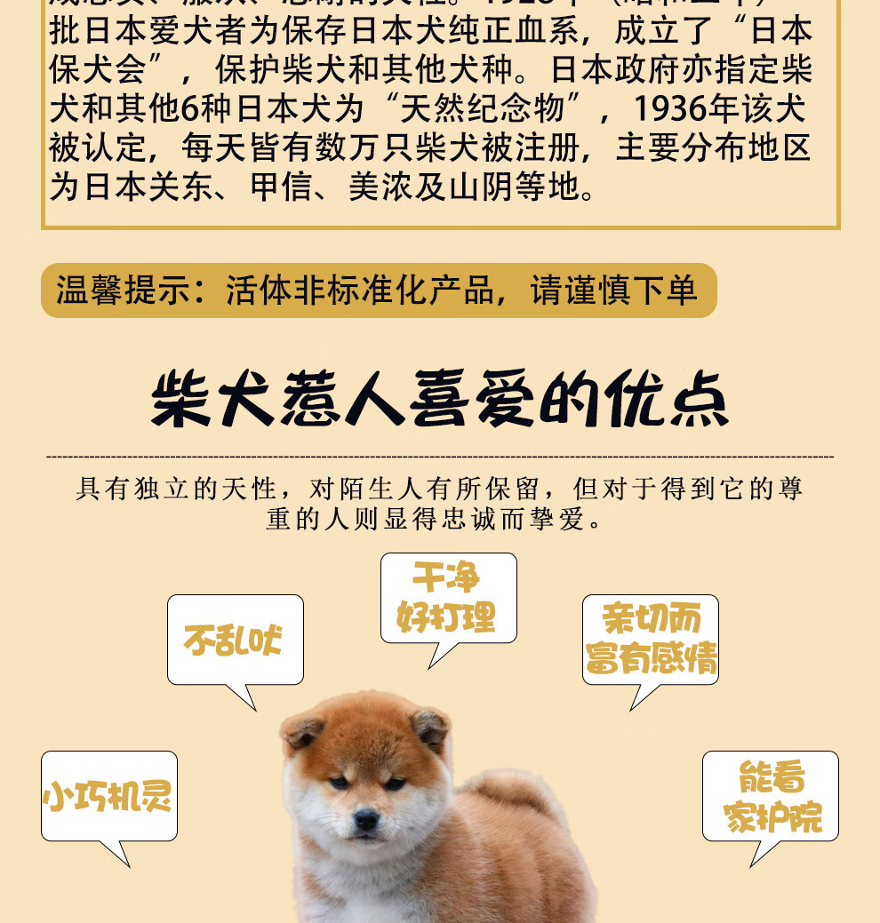 狼图腾小柴犬纯种日本柴犬幼犬双血统活体幼犬家养宠物狗小柴活体幼犬小型犬宠物狗狗双血统c级赤色 图片价格品牌报价 京东