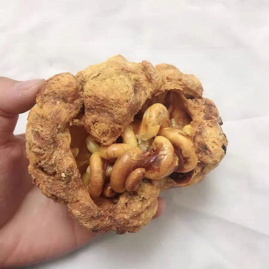 胎盘中药材 整个胎盘胎盘粉胶囊 无硫干胎盘 磨粉 整个100克