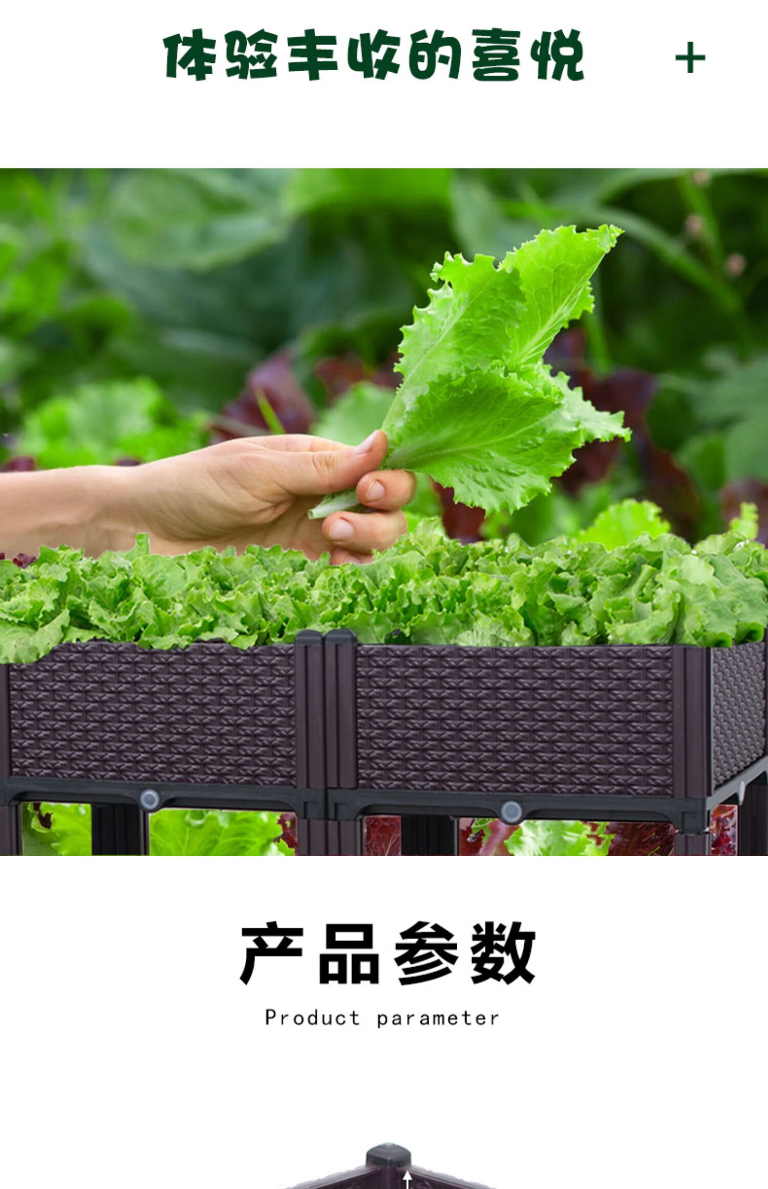 园花盆槽阳台种菜箱 双层8联箱【长160宽40高67】 特大【图片 价格