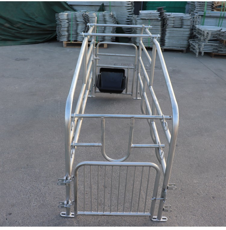 限位栏简易产床单个猪位一个栏位养猪设备带饮水器25厚落地式产床70宽