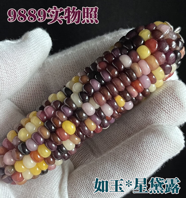6c3a28531ec309d4.jpg