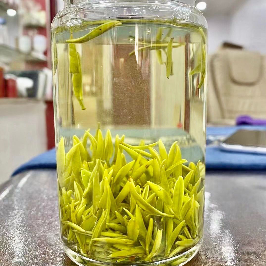 霍山原产黄芽2022新茶头采明前春茶高山正宗黄茶兰花香型茶叶罐装250g