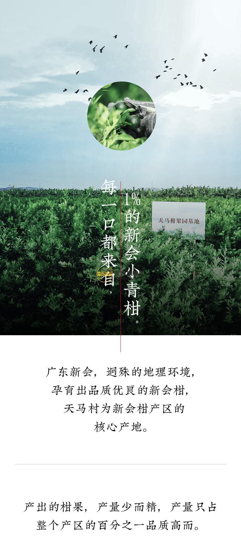 霄贡御品 普洱熟茶 正宗小青柑茶叶云南普洱熟茶陈皮柑普茶散送新茶