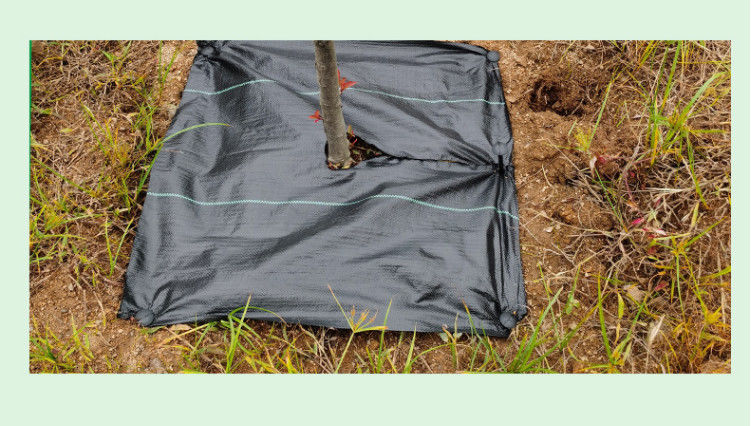 防草布除草布农用打孔盖草抑草遮草布透气透水抗老化果园布片抗老化