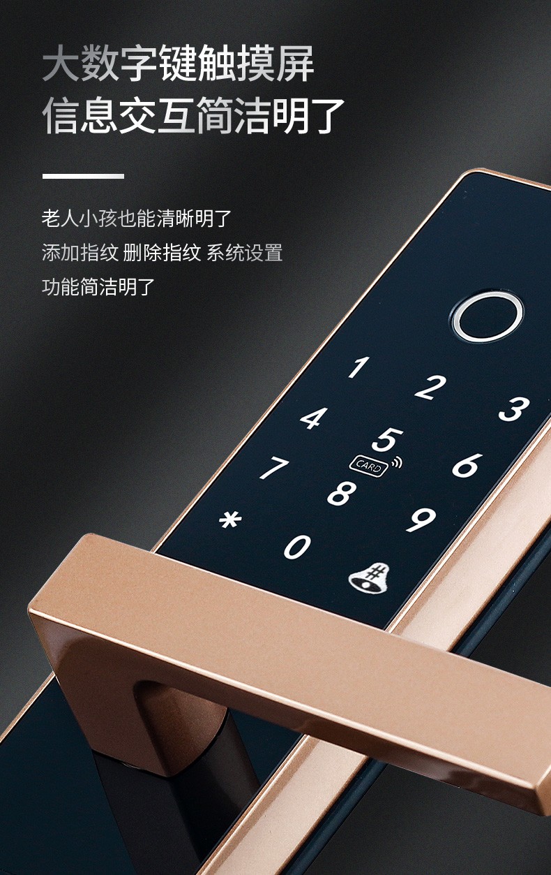 王力智能指纹门锁密码锁电子锁家用防盗智能门锁大门免费上门安装防