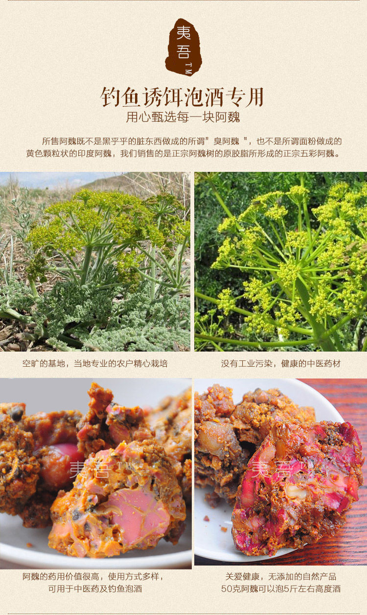伟博新疆五彩臭阿魏小药泡药酒诱饵专用钓鱼中药材配方捉黄鳝昂公10g