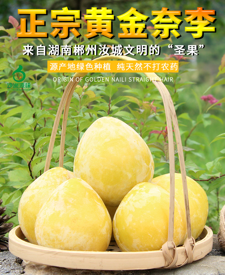 玫栀顺丰汝城文明黄金奈李湖南郴州汝城水果新鲜应季李子5斤125170g
