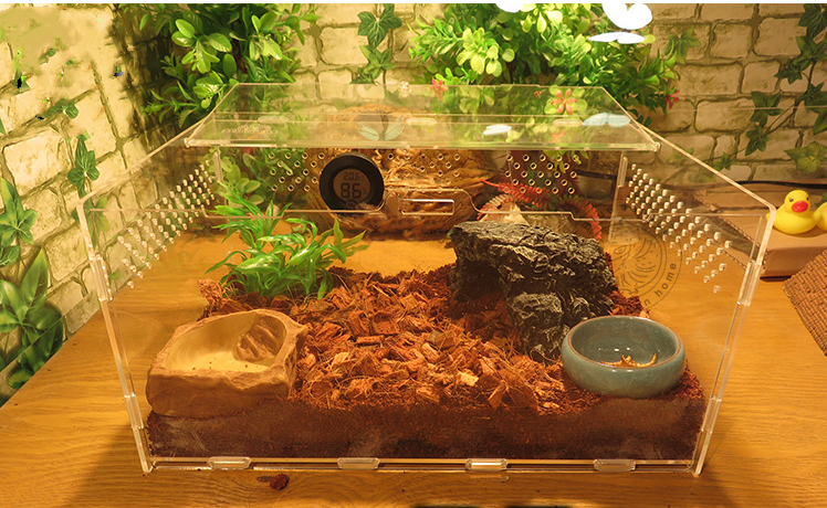 蜗牛盒子宠窝养蜗牛的专用盒子亚克力豪华别墅繁殖饲养爬宠透明箱