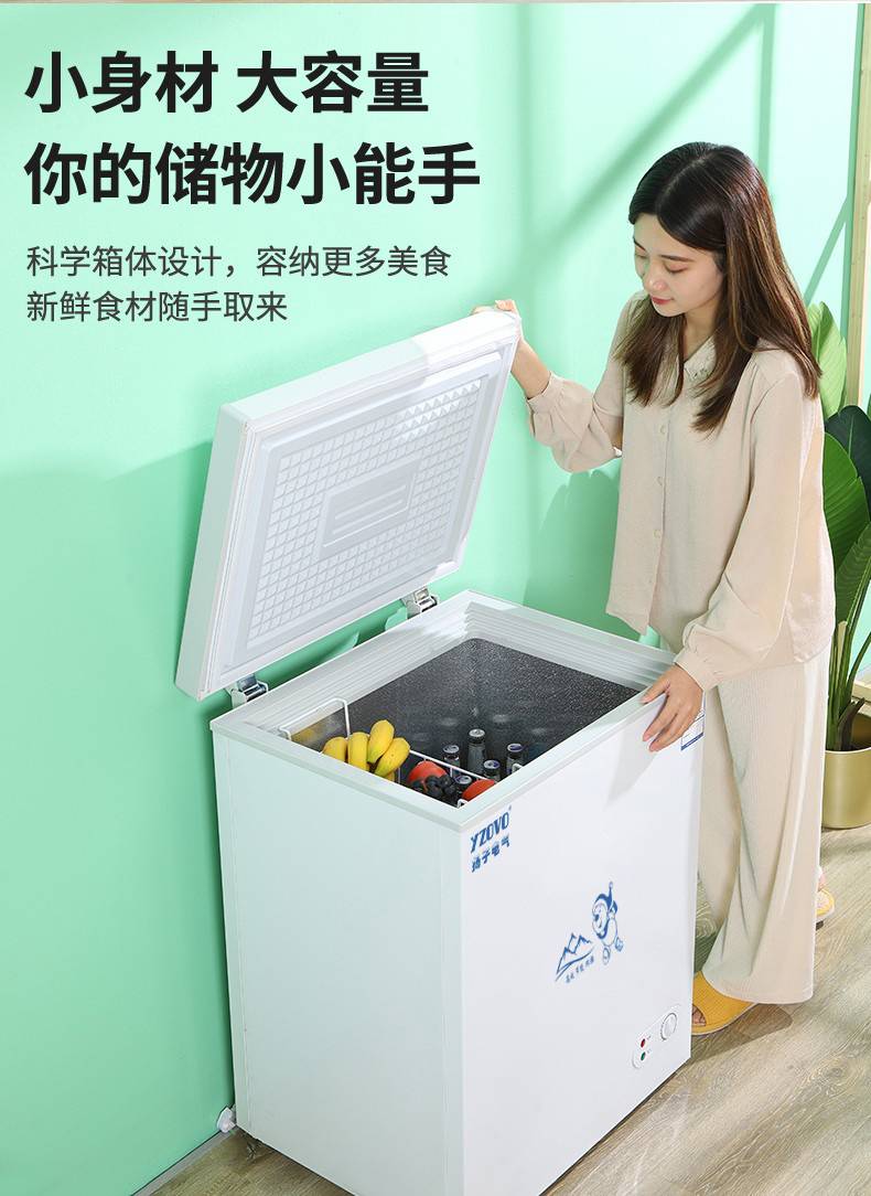 小冰柜冷柜家用小型小冰柜家用全冷冻柜小型冷柜保鲜冷冻两用卧室双温