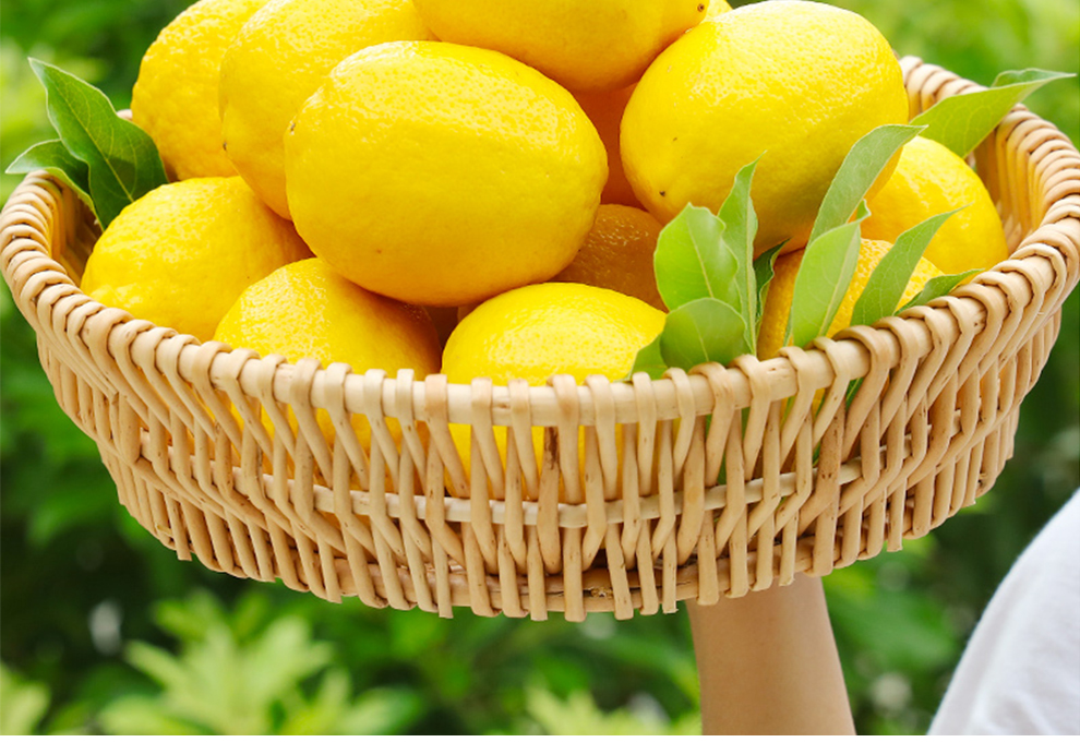 四川安岳新鲜黄柠檬水果柠檬当季生鲜皮薄一级香水柠檬5斤装黄小柠