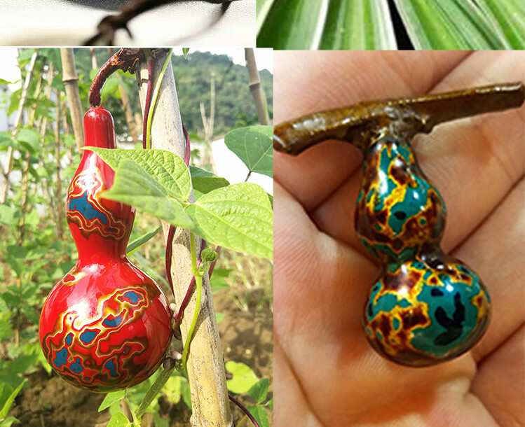 生漆土漆生漆已过滤生漆土漆古建筑漆一级生漆500g