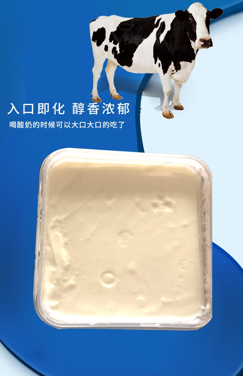 新疆天润酸奶大桶装1kg装水果捞网红原味浓缩风味老酸奶方桶 红色